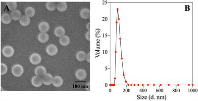 Interactive neurotoxicity of environmentally relevant concentrations of polystyrene nanoplastics and butyl methoxydibenzoyl methane on early zebrafish embryos